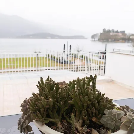 Magic At The Apartment