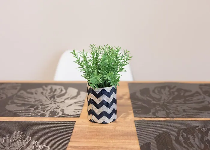 Magic At The Apartment *