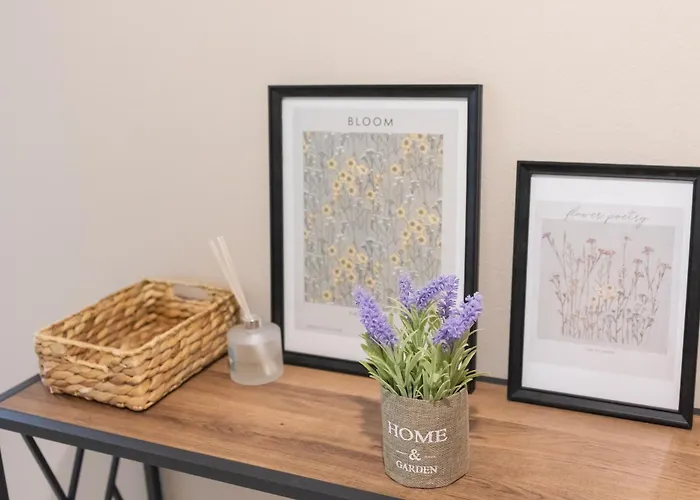 Apartment Magic At The