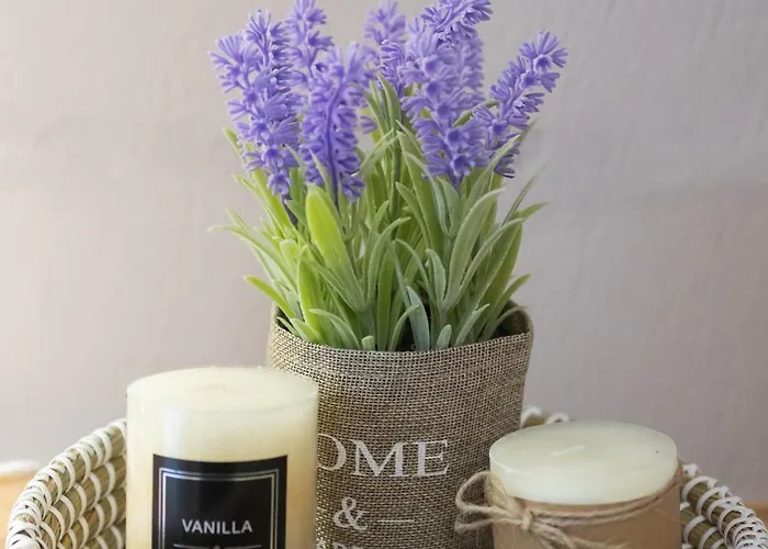 Magic At The Apartment *